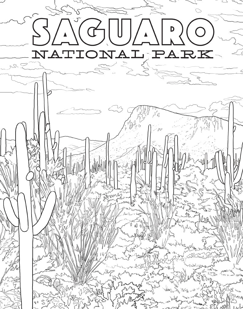 Softcover coloring book featuring national parks posters by Insight Editions, with outdoor landscapes and iconic park scenes.