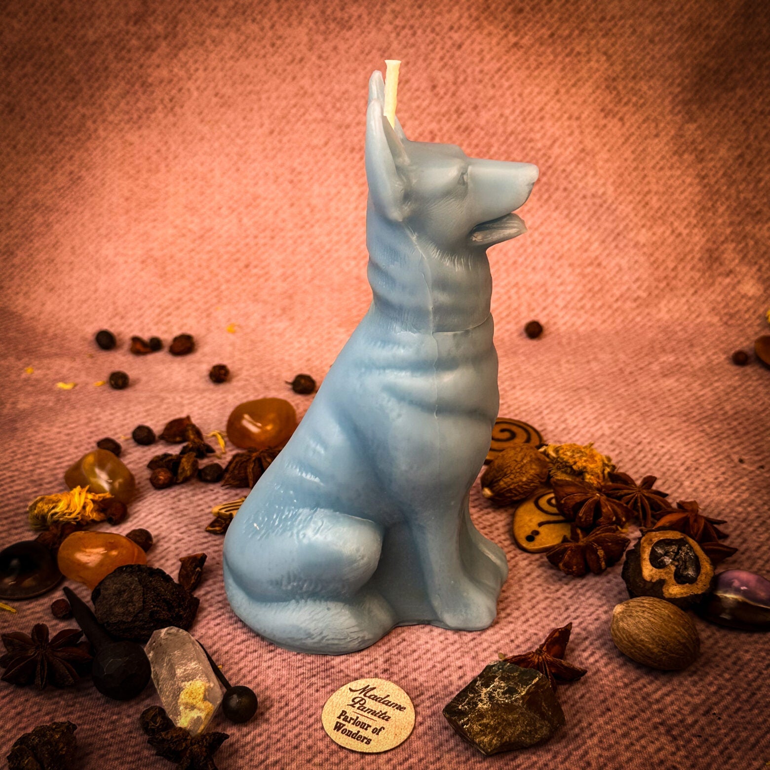 Parlour of Wonders Faithful Dog Candle Spell Kit for loyalty and fidelity, featuring a brown candle with magical symbols.