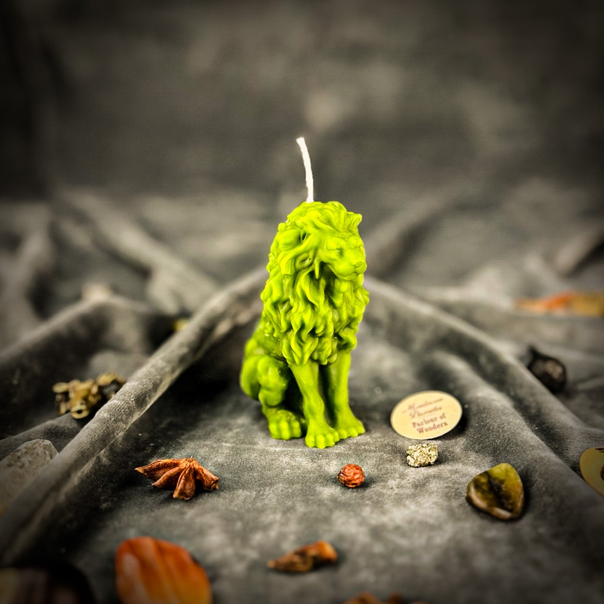 Parlour of Wonders Proud Lion Candle Spell Kit with brown grounding candle, symbolizing courage and leadership magic.