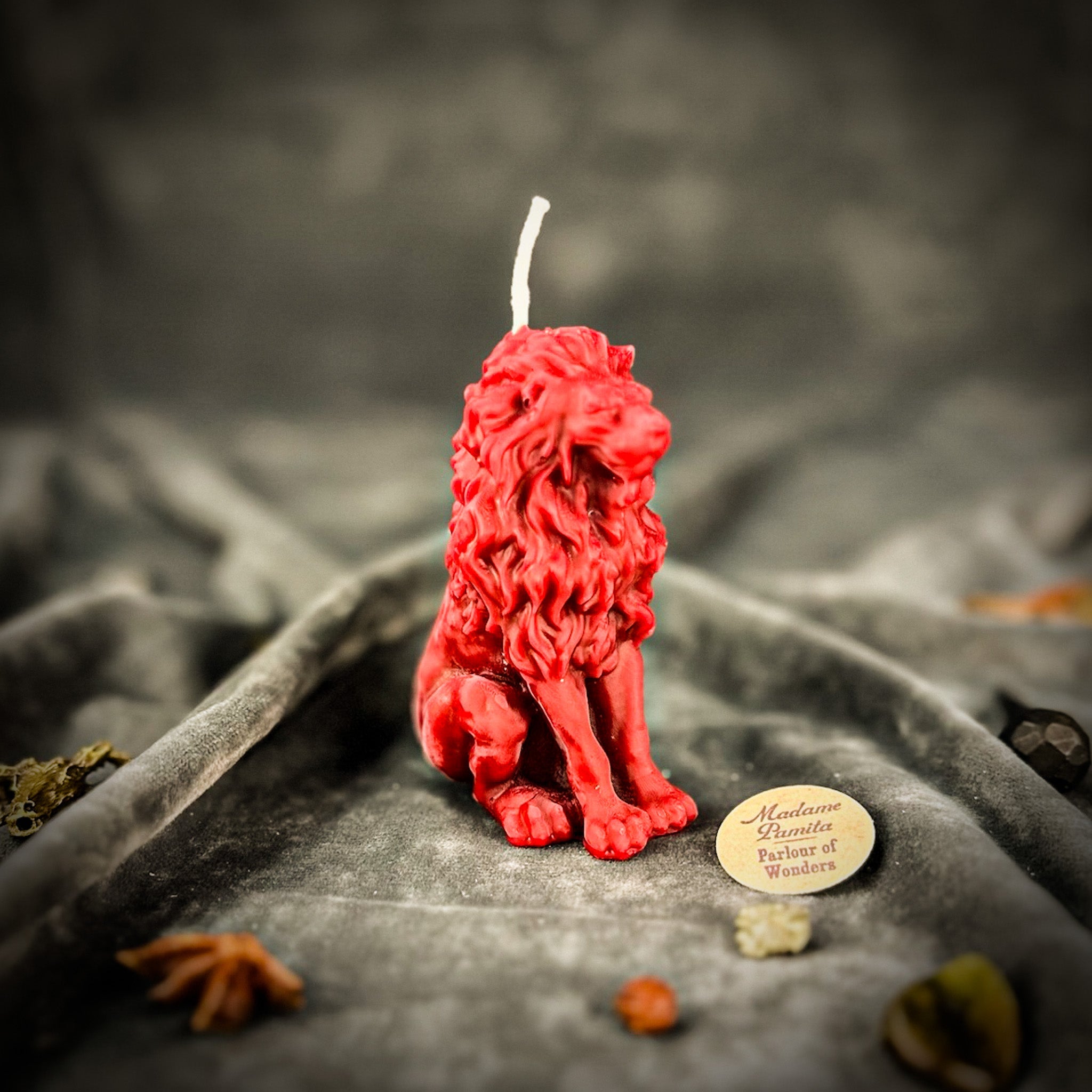 Parlour of Wonders Proud Lion Candle Spell Kit with brown grounding candle for courage and leadership magic.