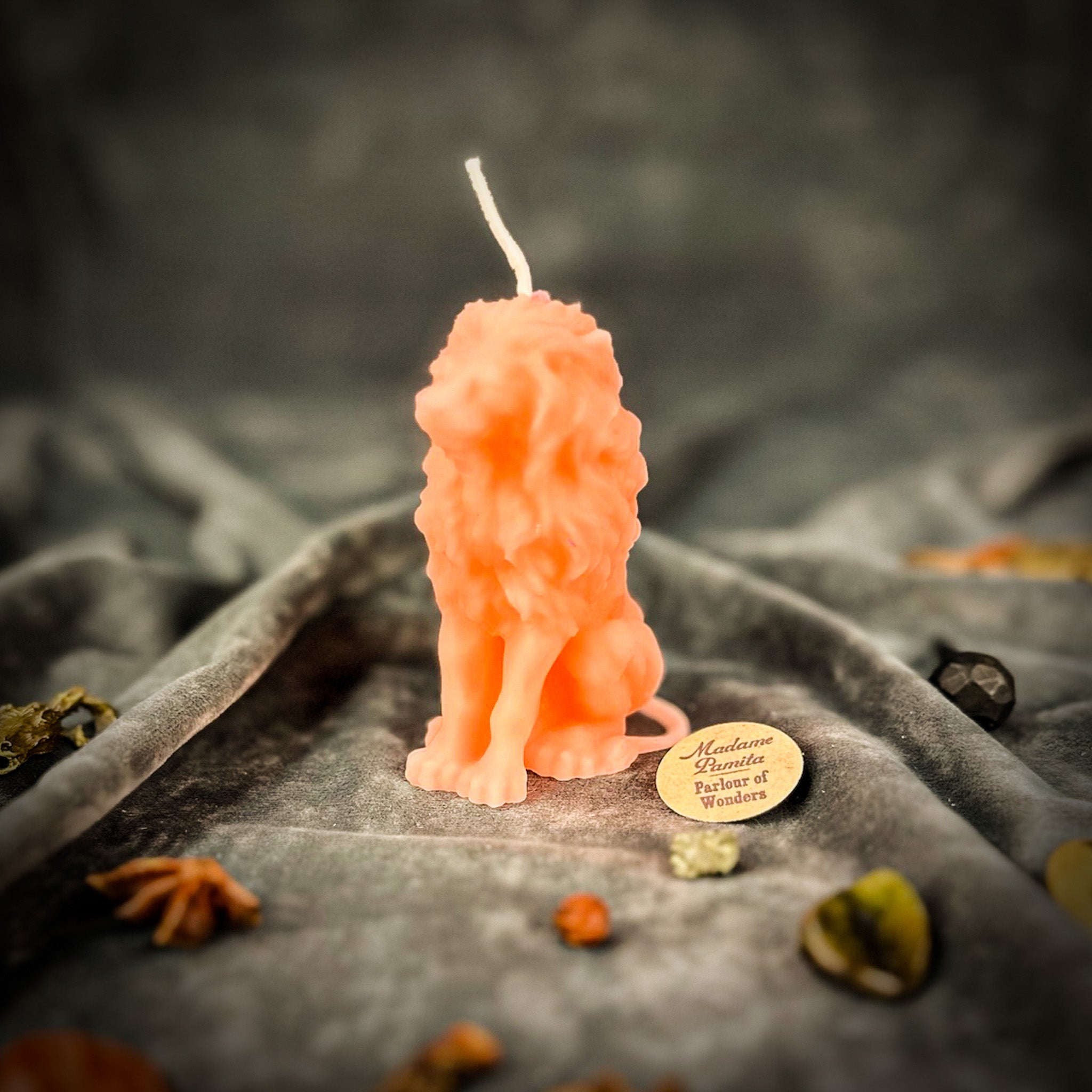 Parlour of Wonders Proud Lion Candle Spell Kit with brown grounding candle for courage and leadership magic.