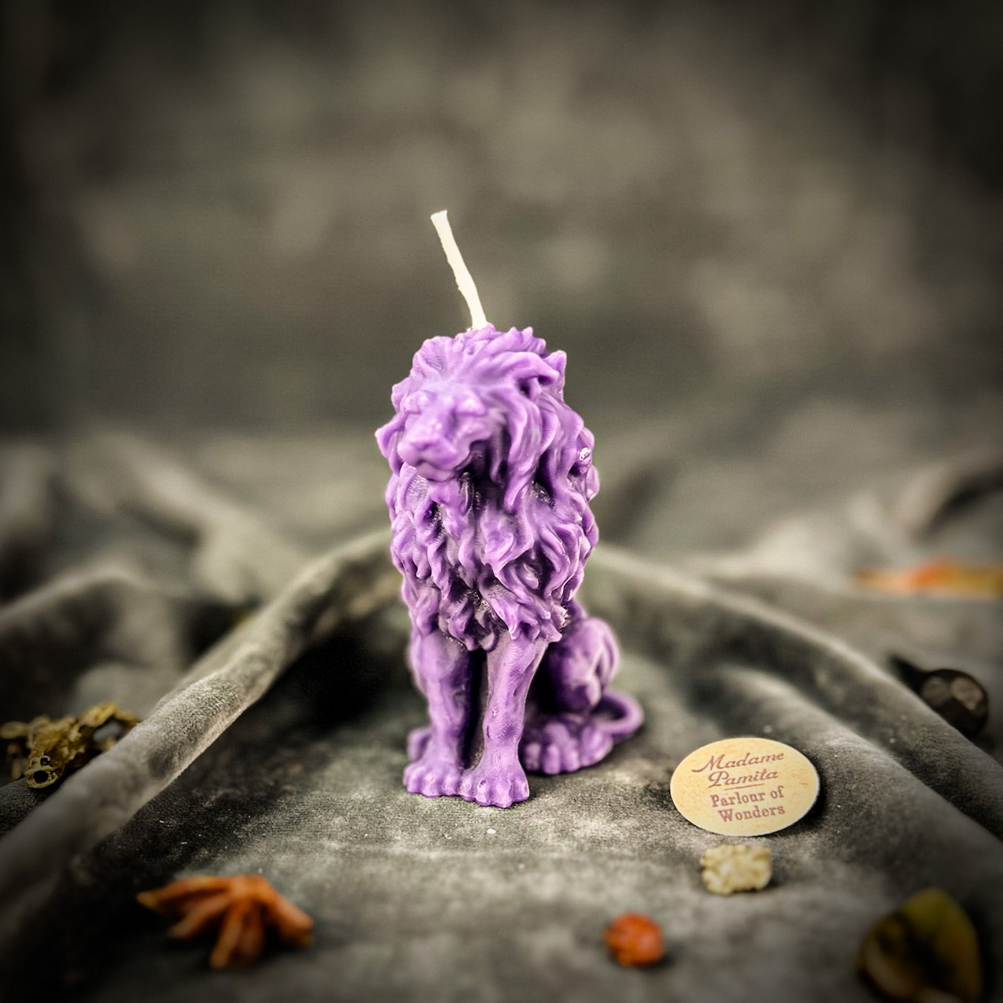 Parlour of Wonders Proud Lion Candle Spell Kit with brown grounding candle for courage and leadership magic.