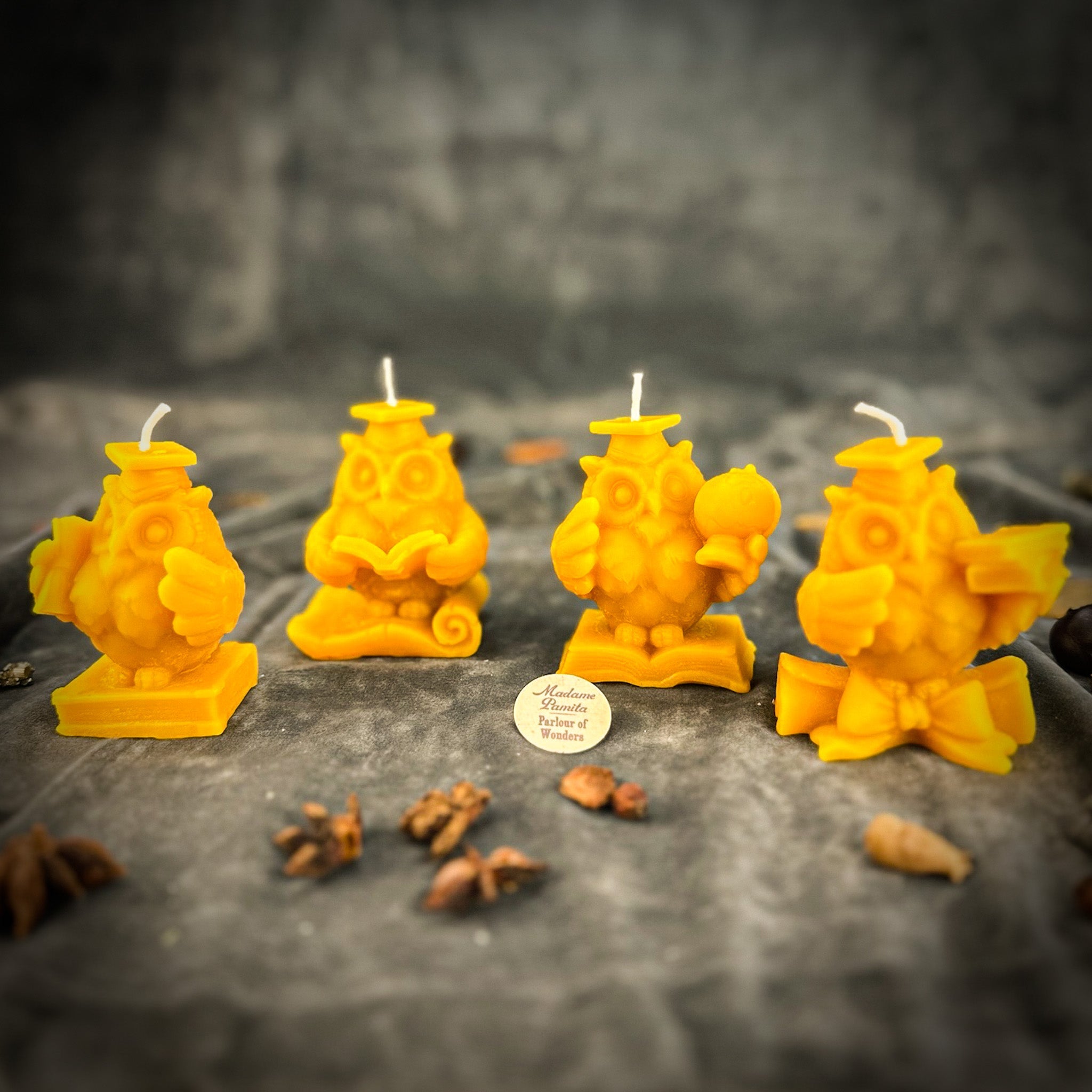 Parlour of Wonders School of Owls Candle Spell Kit with orange candles and herbs for academic success and wisdom.
