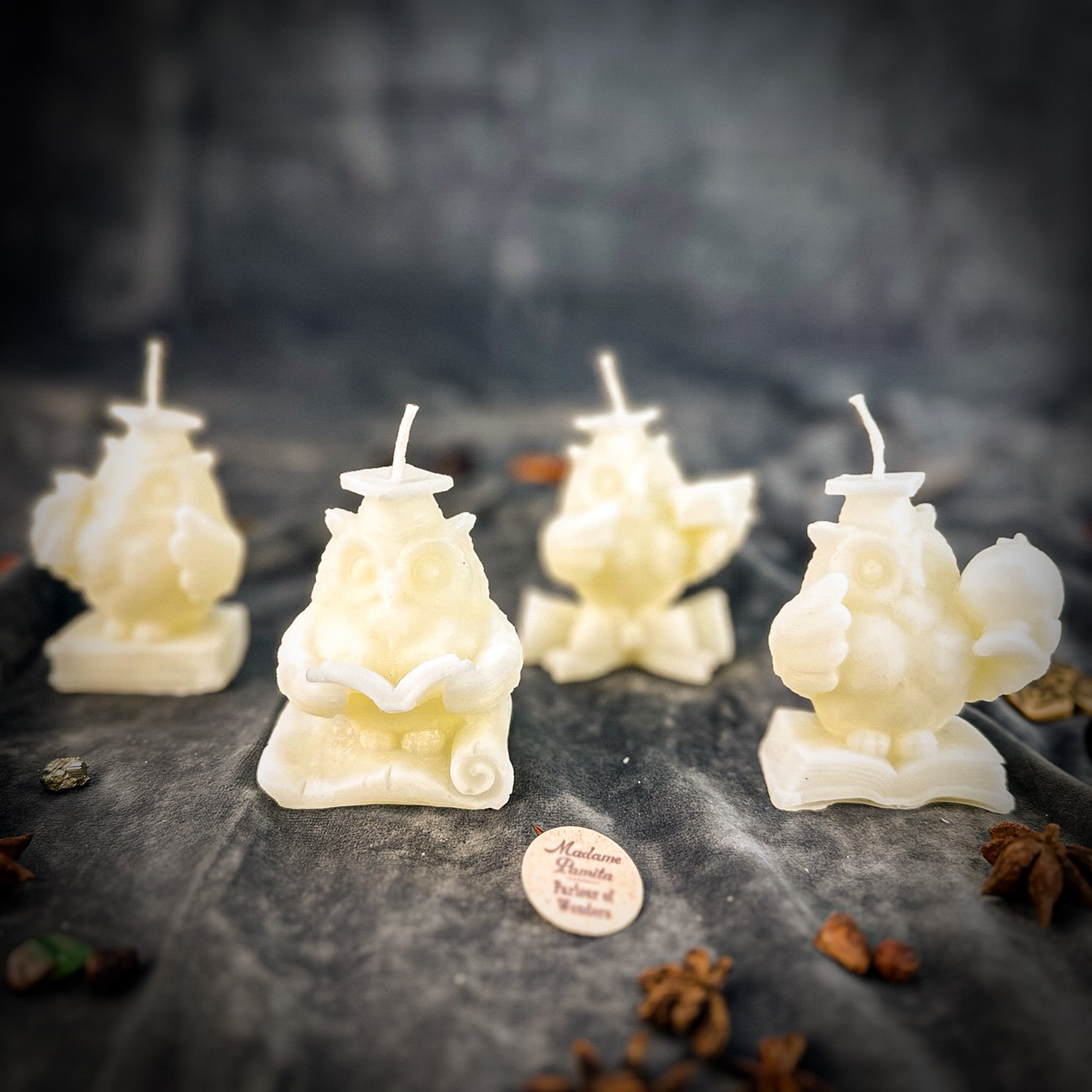 Parlour of Wonders School of Owls Candle Spell Kit featuring orange candles and owl imagery for academic success and wisdom.