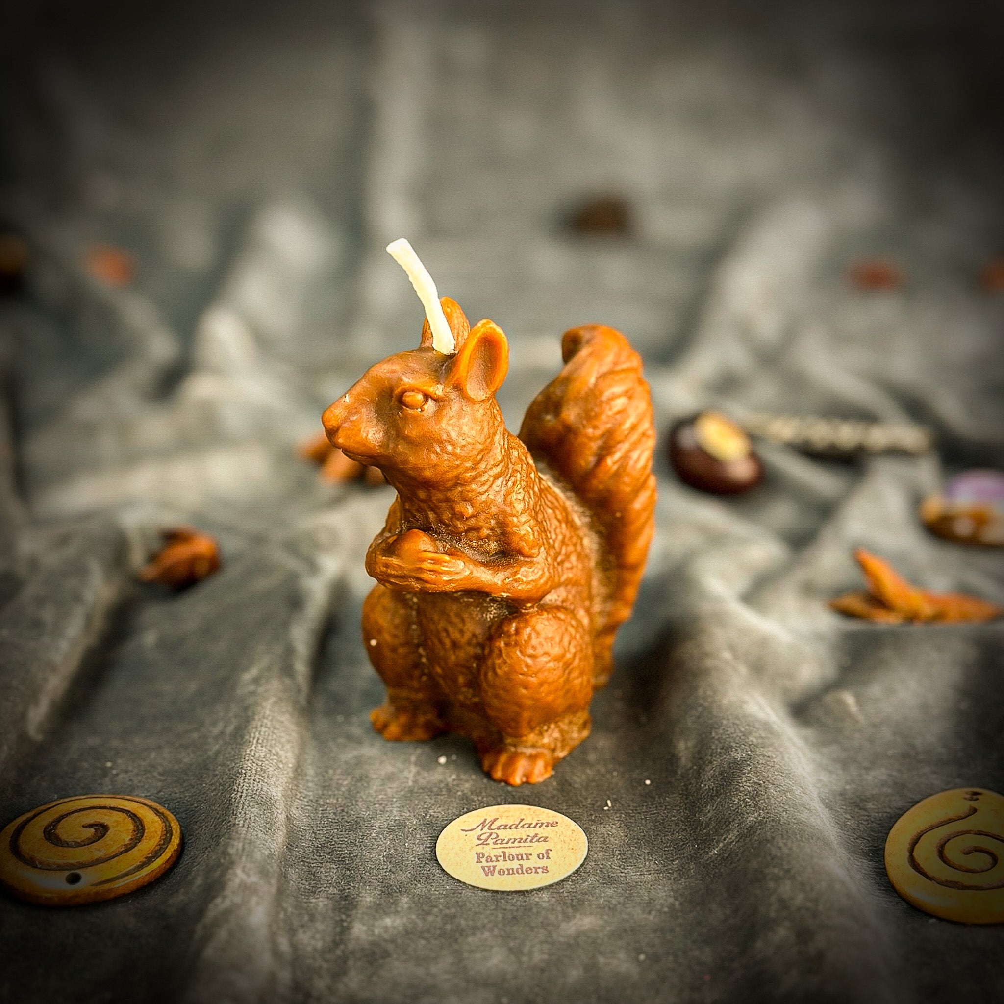 Parlour of Wonders Squirrel of Abundance Candle Spell Kit for prosperity and wise investments, featuring orange candles and magical symbols.