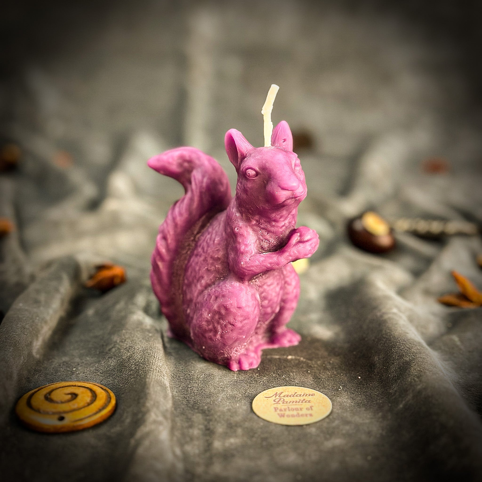 Parlour of Wonders Squirrel of Abundance Candle Spell Kit with orange candles for prosperity and wise investments magic.