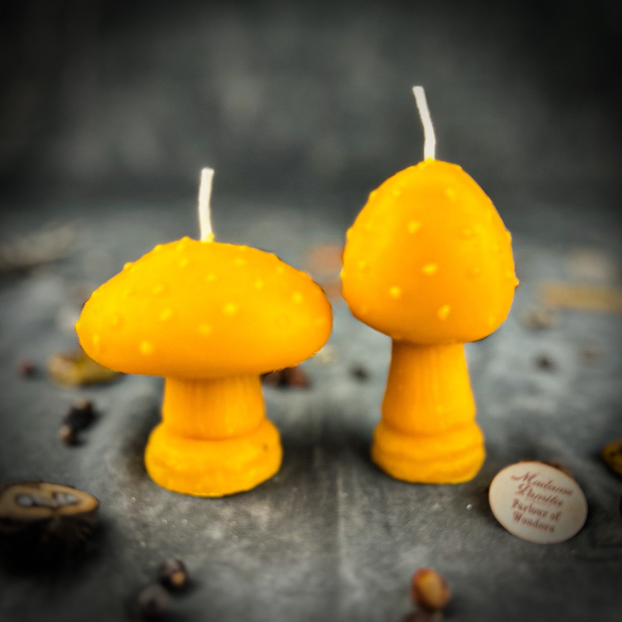 Parlour of Wonders Mystical Mushroom Duo Candle Spell Kit with purple candles for forest wisdom and shadow work magic.