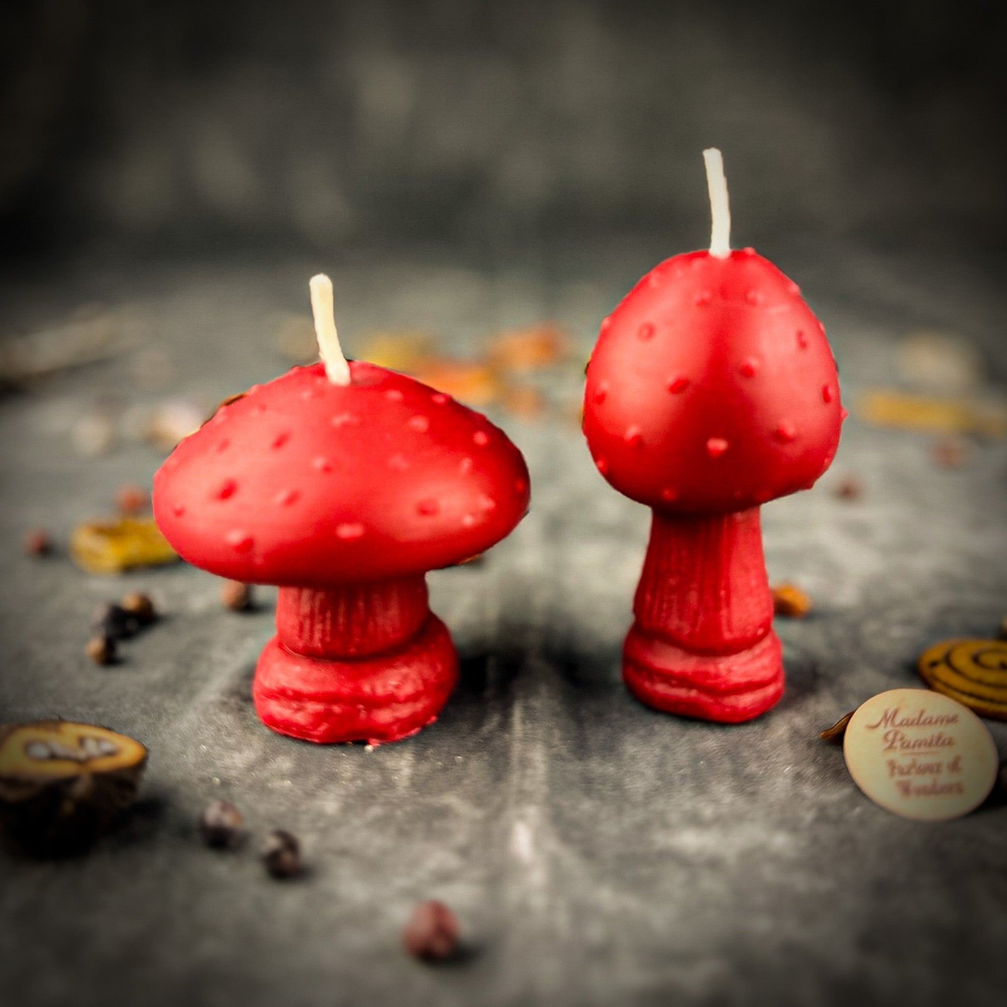 Parlour of Wonders Mystical Mushroom Duo Candle Spell Kit with purple candles for forest wisdom and shadow work magic.
