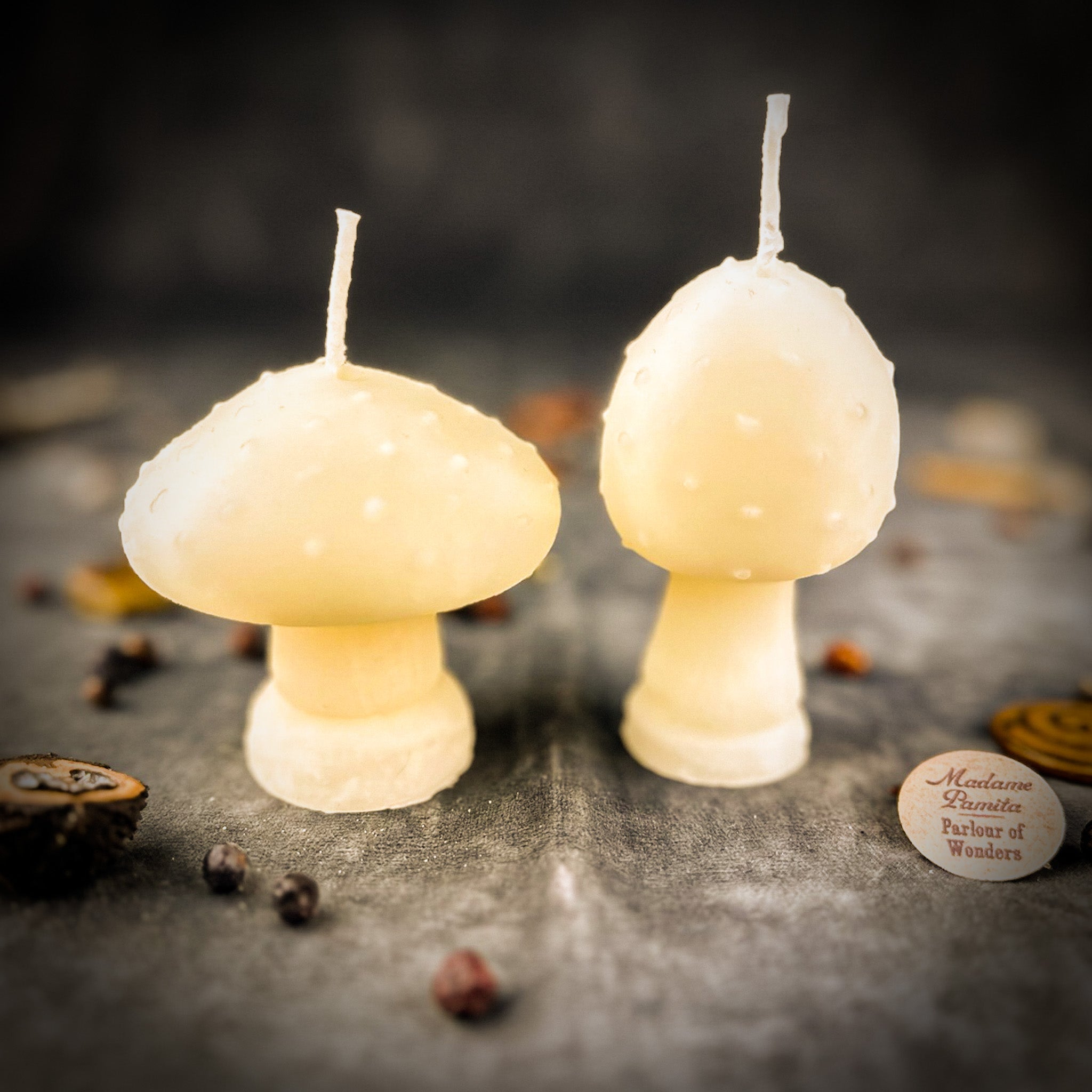 Parlour of Wonders Mystical Mushroom Duo Candle Spell Kit with purple candles for forest wisdom and shadow work magic.