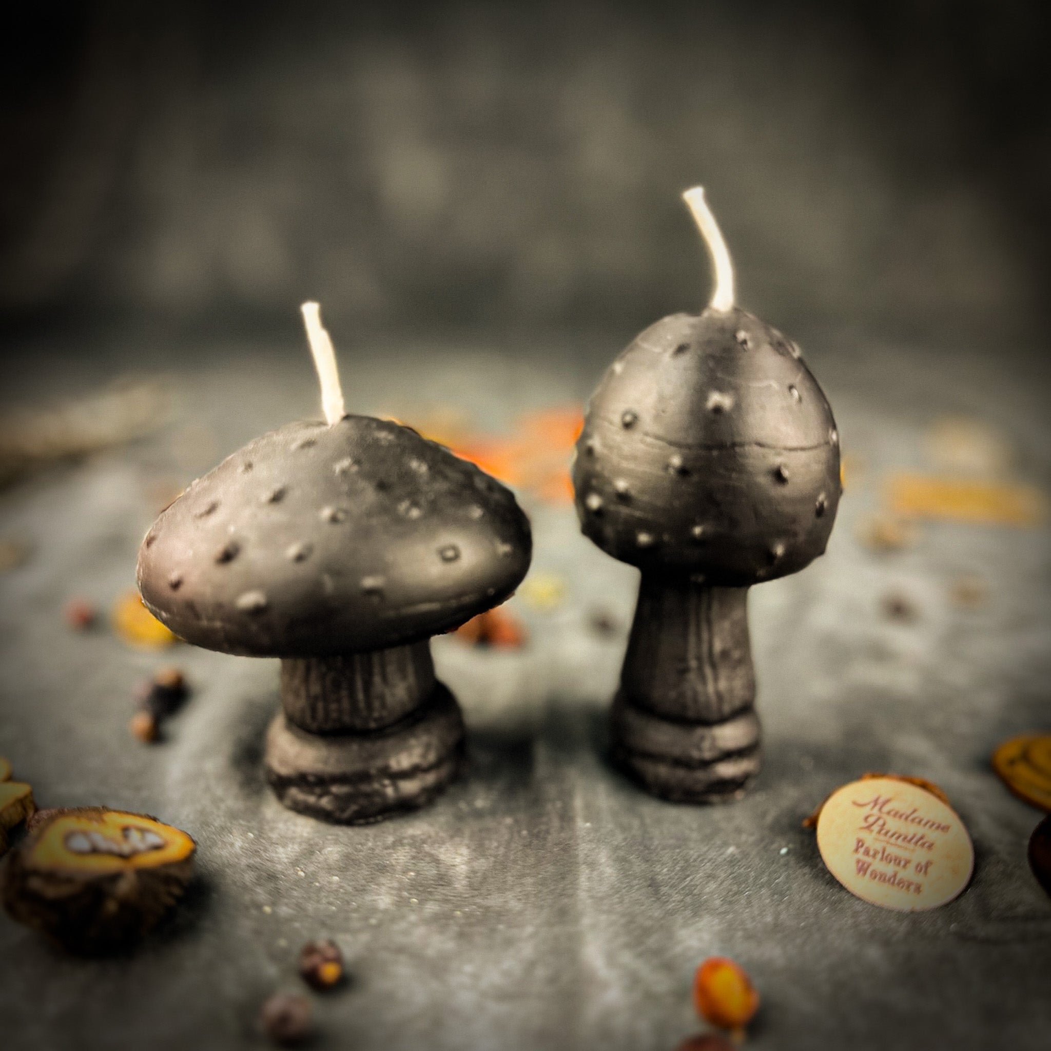 Parlour of Wonders Mystical Mushroom Duo Candle Spell Kit with purple candles for forest wisdom and shadow work magic.
