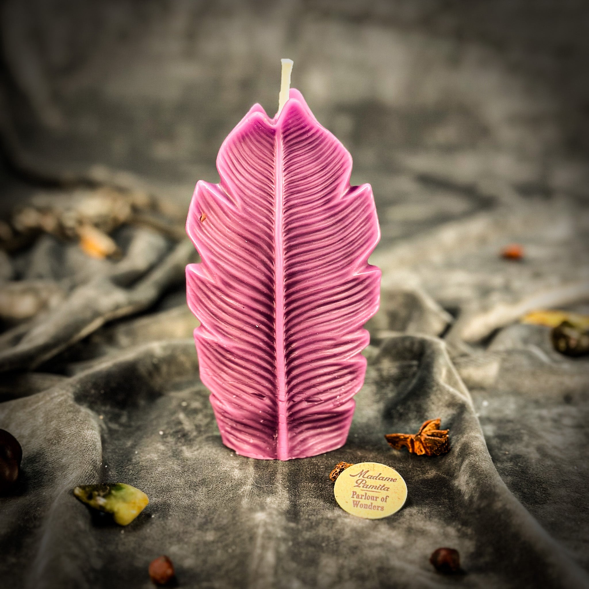 Parlour of Wonders Plant Spirit Candle Spell Kit with red candles for garden blessing and nature magic rituals.