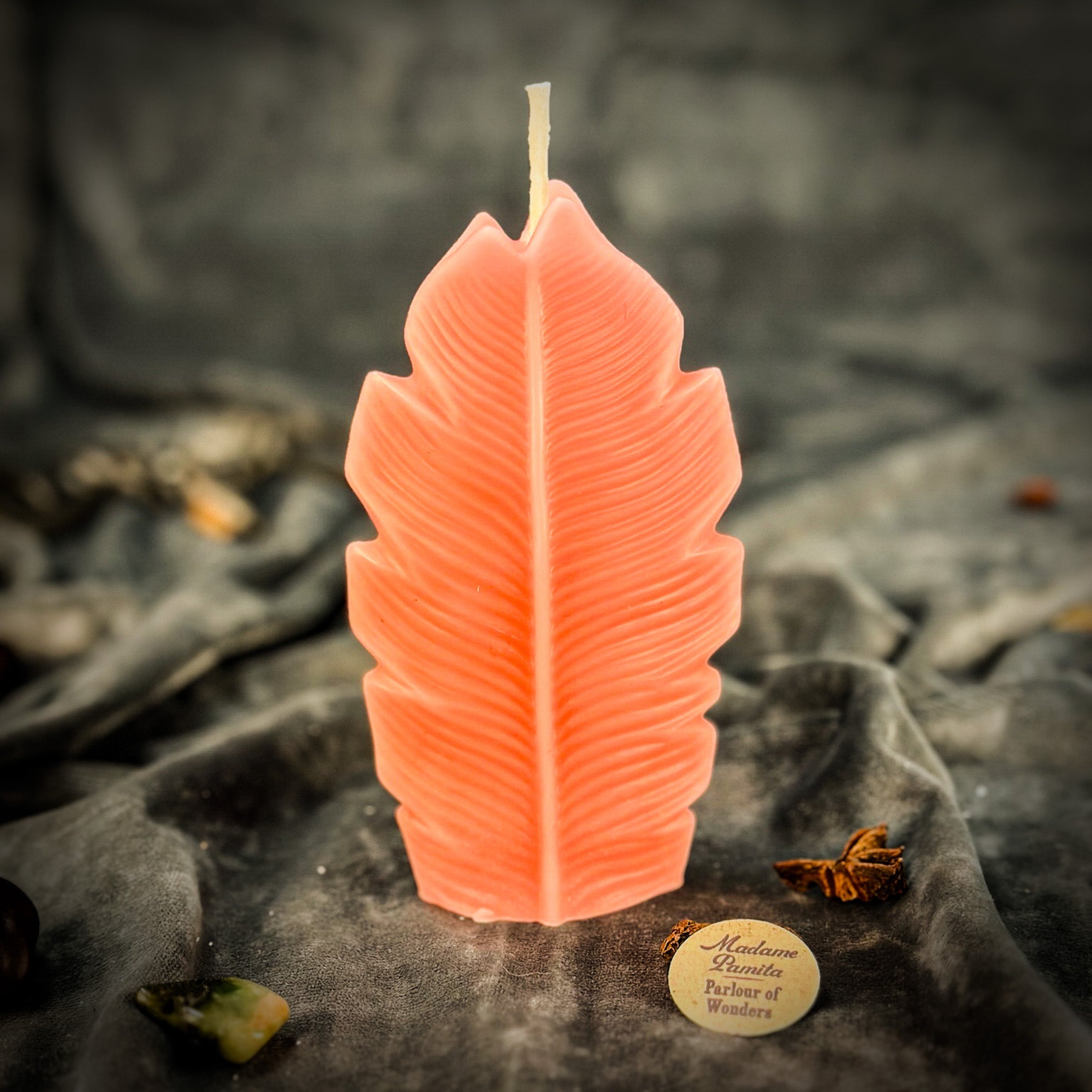 Parlour of Wonders Plant Spirit Candle Spell Kit with red passion candles for garden blessing and nature magic rituals.