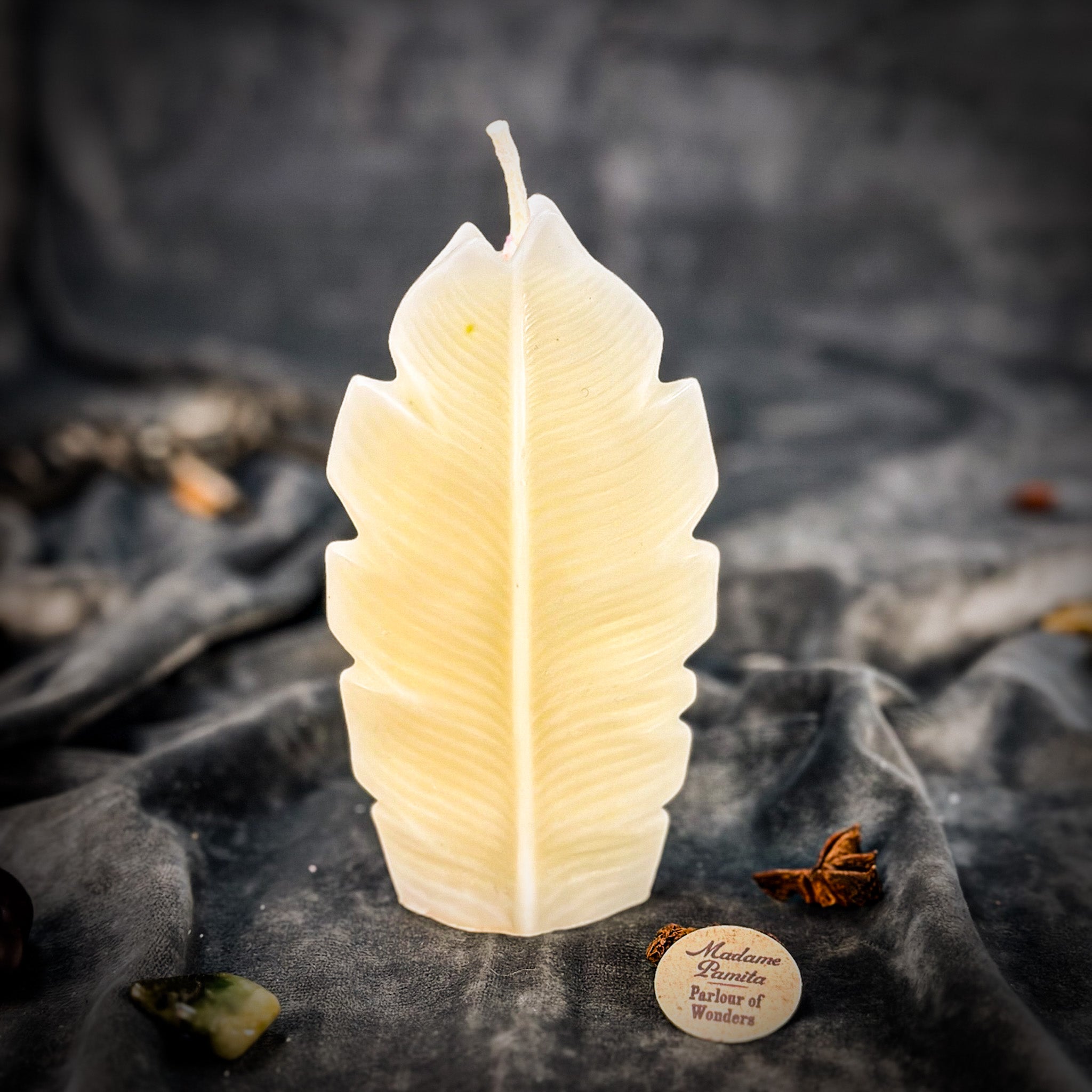 Parlour of Wonders Plant Spirit Candle Spell Kit with red passion candles for garden blessing and nature magic rituals.