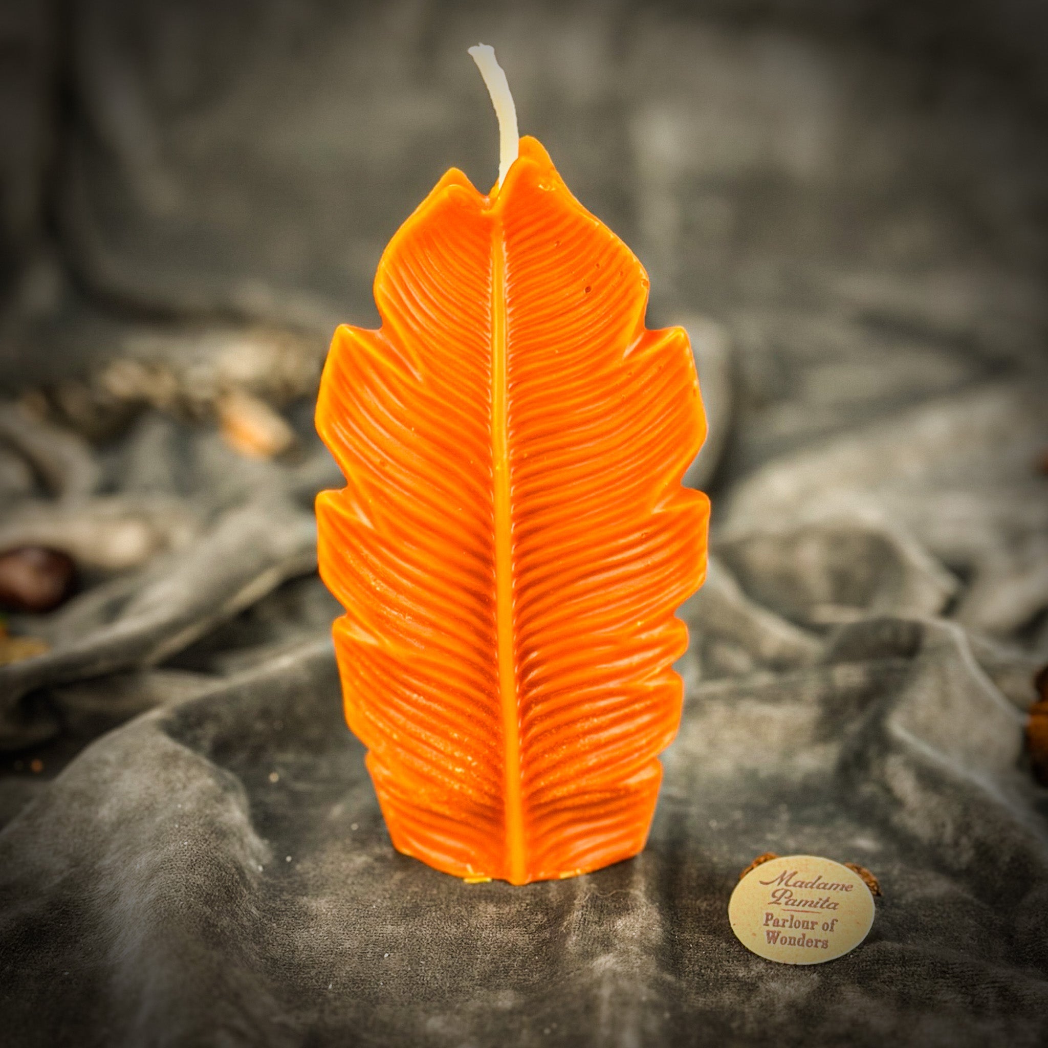 Parlour of Wonders Plant Spirit Candle Spell Kit with red candle for garden blessing and nature magic.