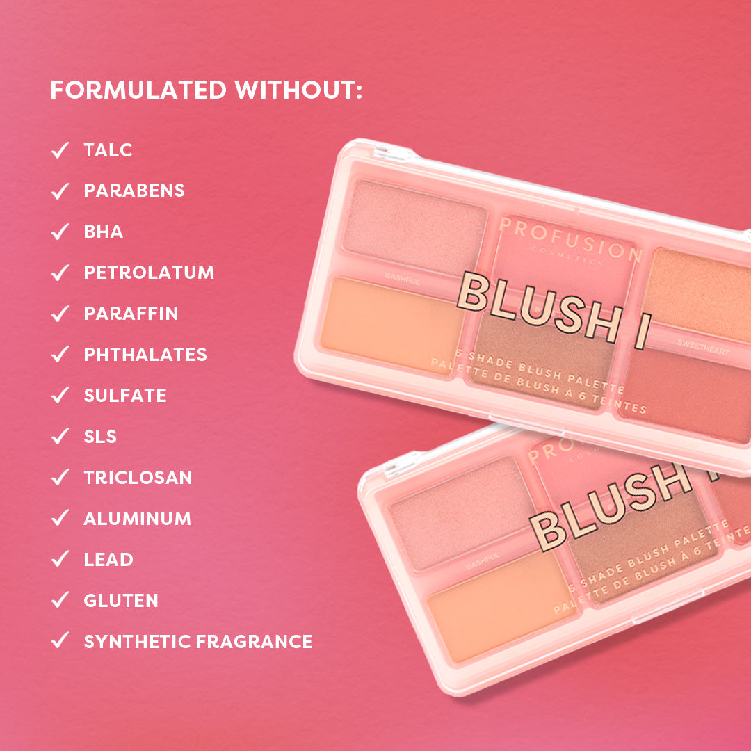 Profusion Cosmetics Blush 6 Shade Face Palette with a variety of colorful blushes in a sleek compact.