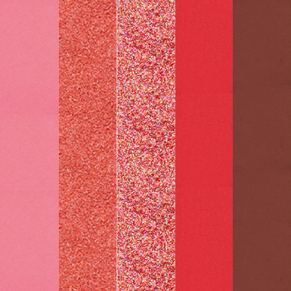 Profusion Cosmetics Blooming Hues 5-shade eye palette with romantic rose tones and versatile eyeshadow colors.