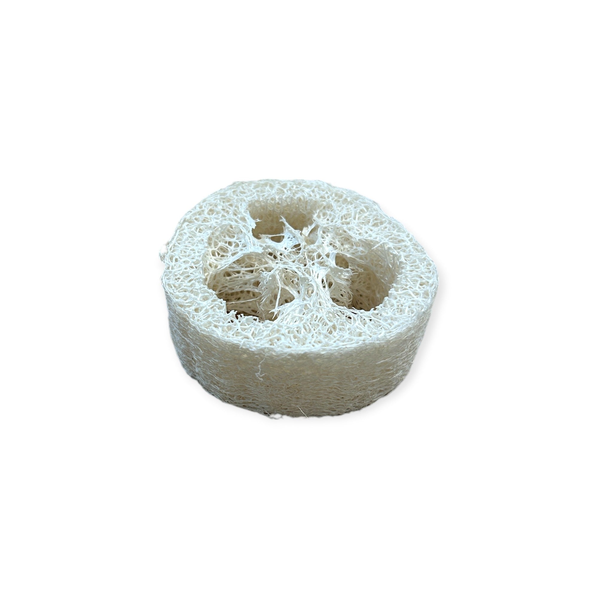 Refillism loofah soap disc lift, 1-inch thick, for home cleaning, showing a textured exfoliating soap disc on a clean surface.