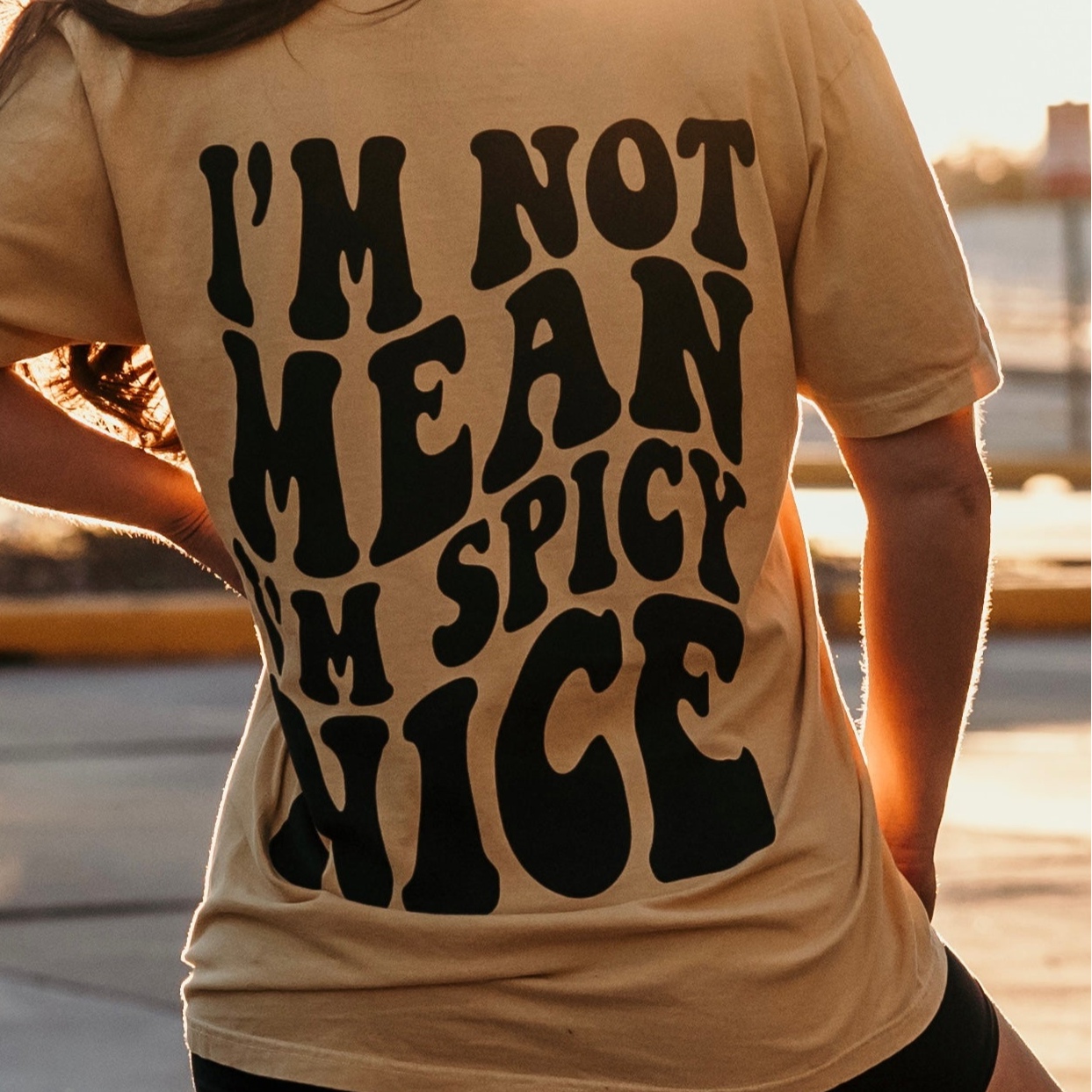 I'm Spicy Nice graphic T-shirt by Shop Karma Tees featuring bold, colorful spicy chili pepper design on a casual tee shirt.