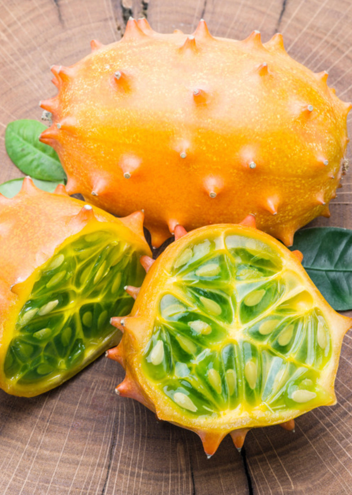 Orange Kiwano fruiting plant in a coconut coir pot, showcasing vibrant orange fruit and lush green leaves.