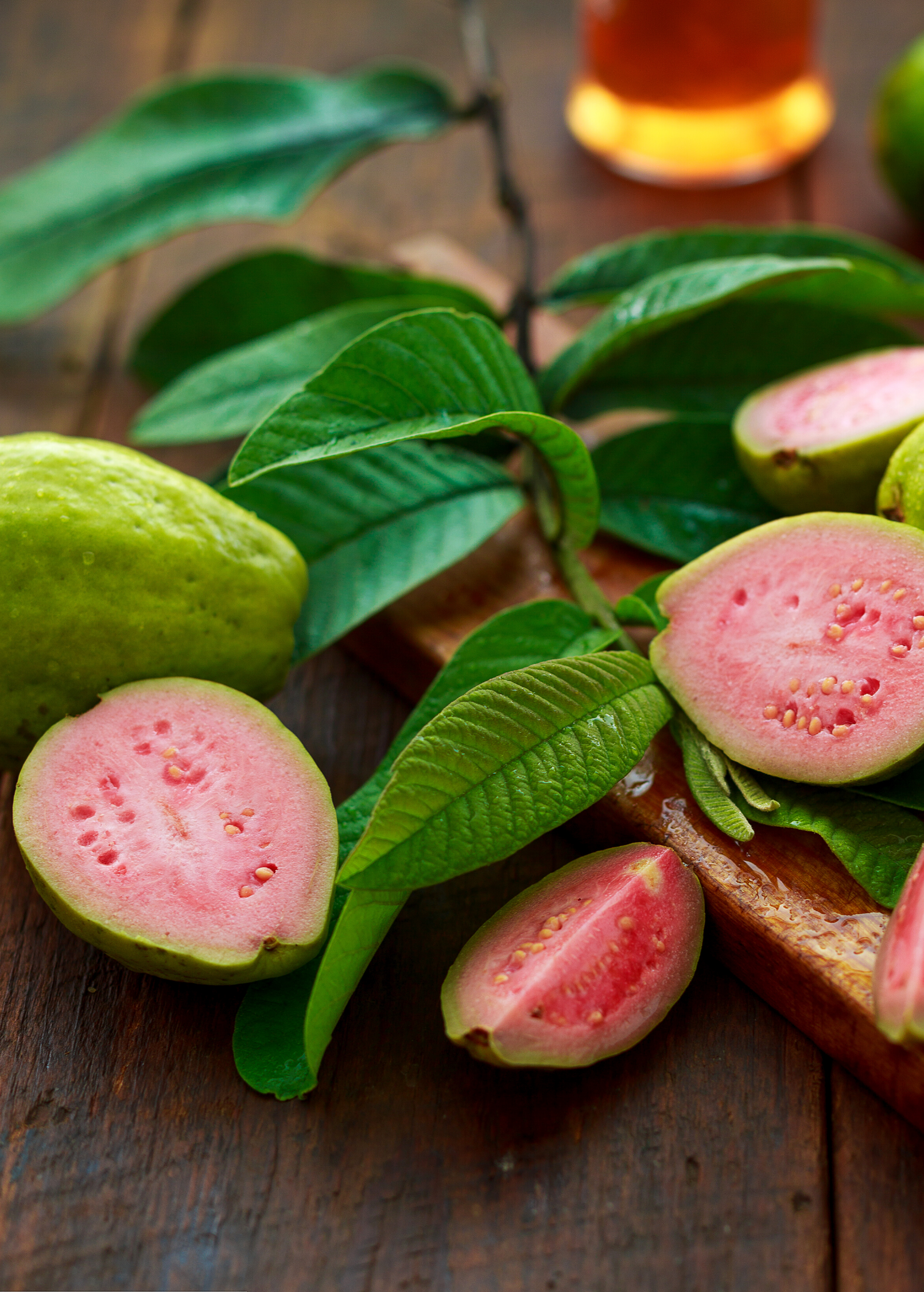 Large Sow Exotic Guava 'Barbie Pink' tropical fruit tree in coconut coir pot, showcasing vibrant pink-tinged foliage.
