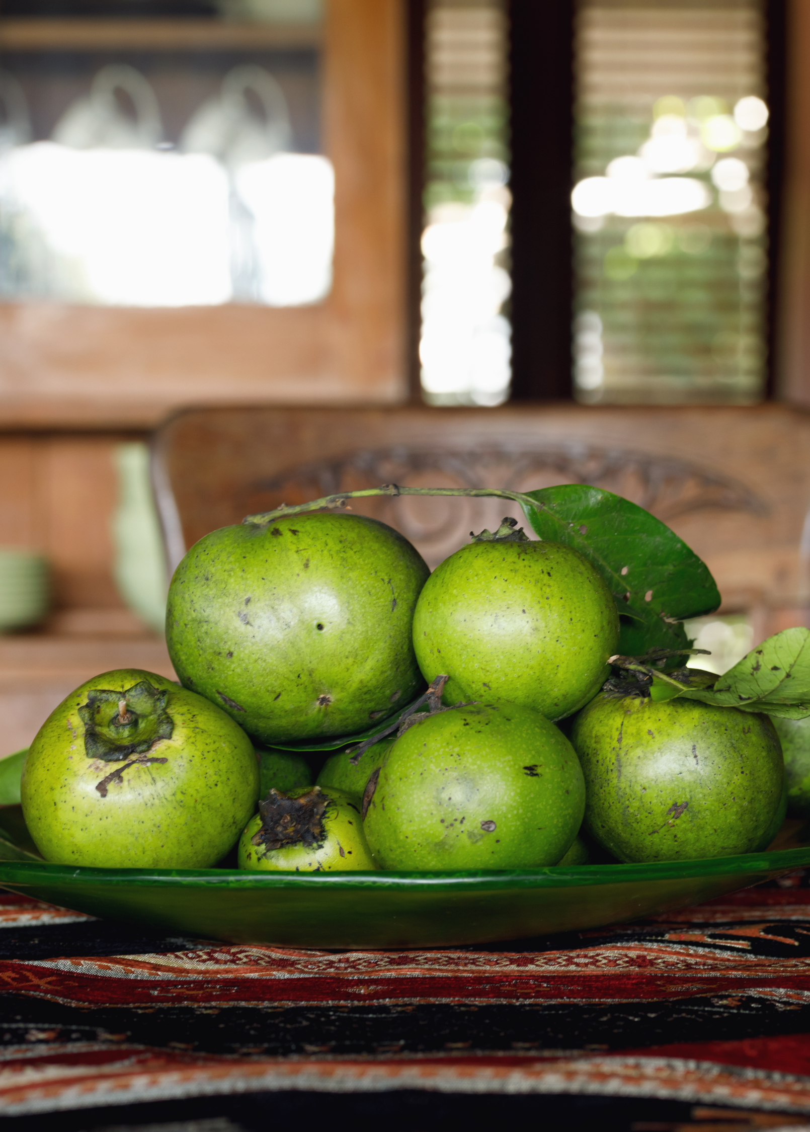 Black Sapote seedling from Sow Exotic, tropical fruit tree in coconut coir pot, Diospyros nigra, ready to grow in warm climates.