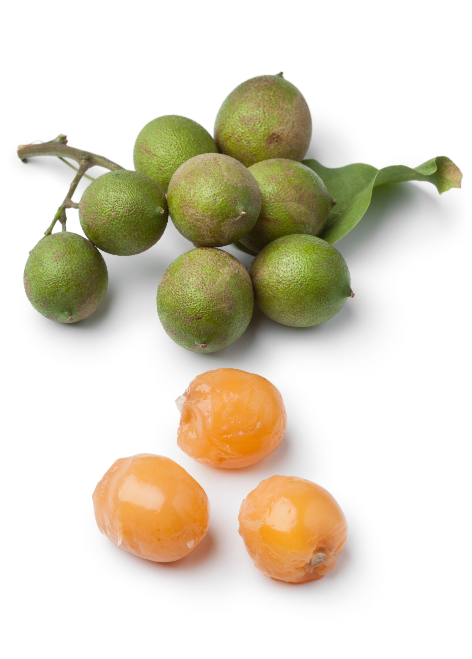 Spanish Lime tropical fruit tree in coconut coir pot by Sow Exotic, showcasing lush green foliage and healthy growth.