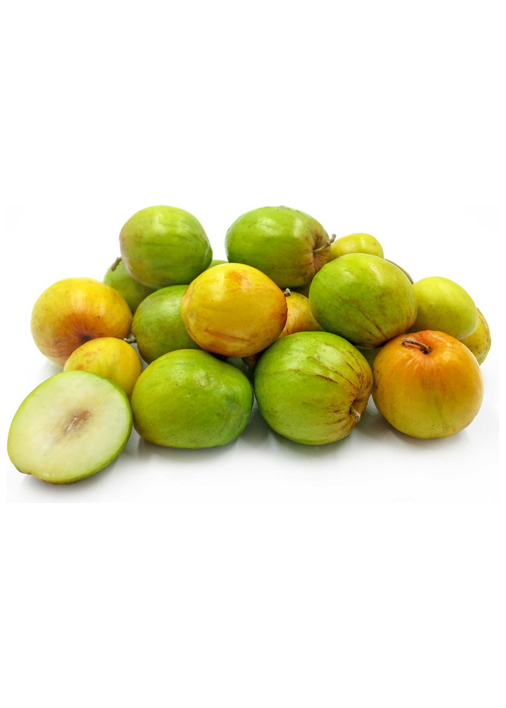 Large nursery pot of Sow Exotic Indian Jujube tropical fruit tree with lush green leaves and sturdy branches.