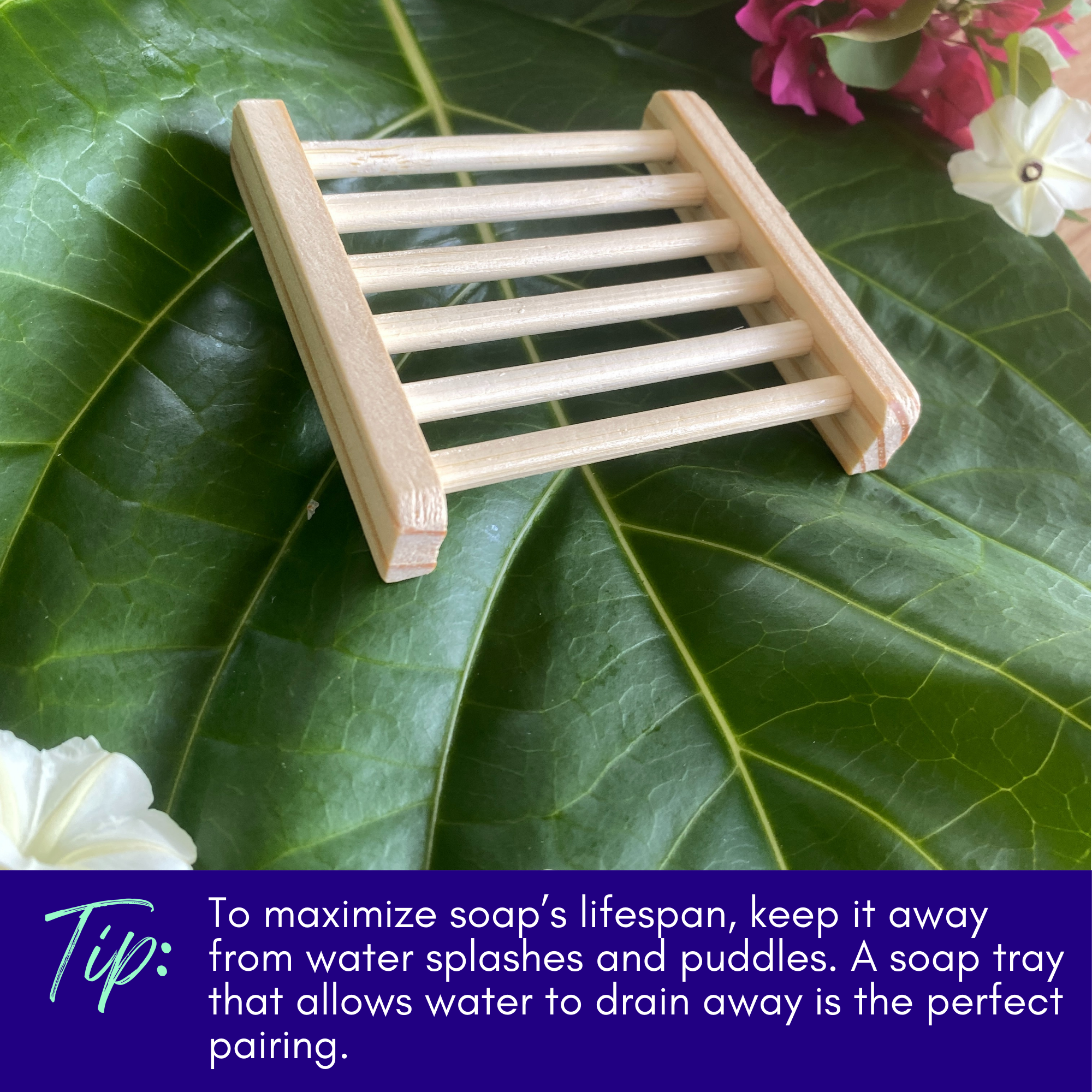 Charcoal and tea tree soap bar by Sweet ʻŌkole Soap, microbiome-friendly cleanser for clear, healthy skin.