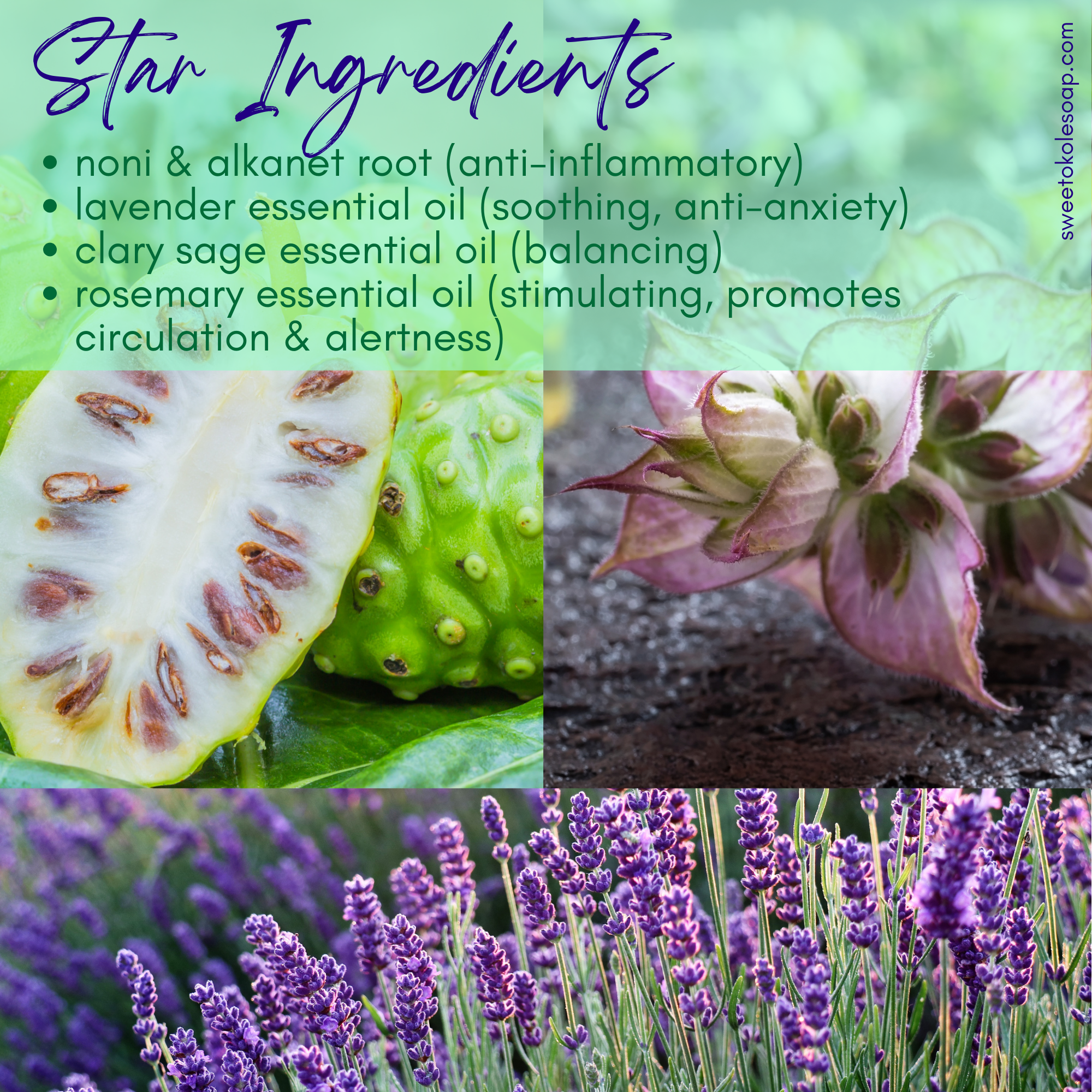 Lavender and Clary Sage Soap by Sweet ʻŌkole Soap with Noni and essential oils, showing a bar of soap with lavender and sage herbs.