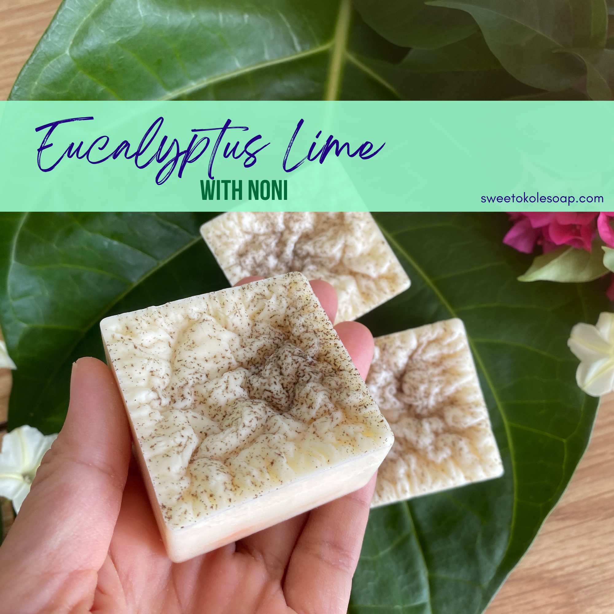 Natural conditioner bar from Sweet ʻŌkole Soap with eucalyptus, lime essential oils, and noni for nourishing hair care.