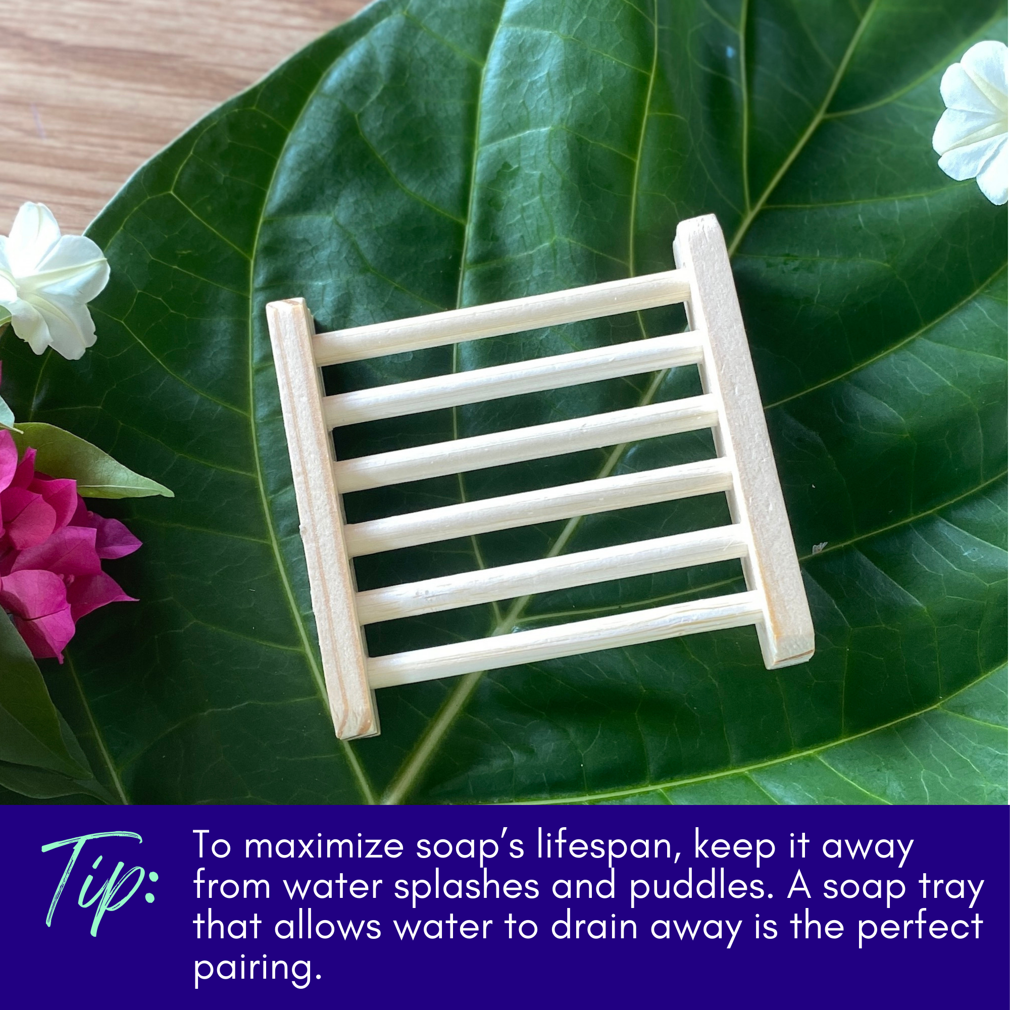 Sweet ʻŌkole Soap solid dish soap bar, non-toxic, unscented, plastic-free for eco-friendly dishwashing.