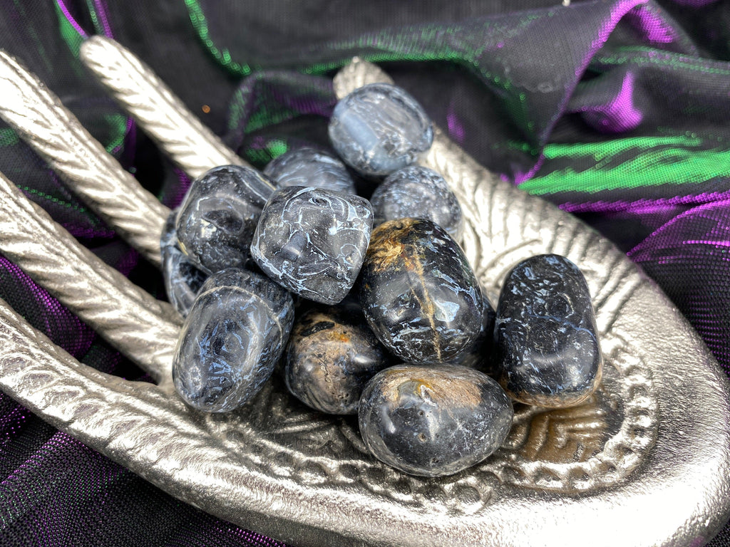 Crinoid Fossil Tumbled Stones - Practical Magic Store