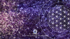 Free Custom Practical Magic Downloadable Amethyst Flower of Life Screensaver - Practical Magic Store