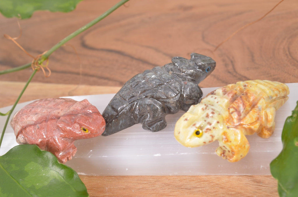 Horned Toad Soapstone Steatite Carving - Practical Magic Store