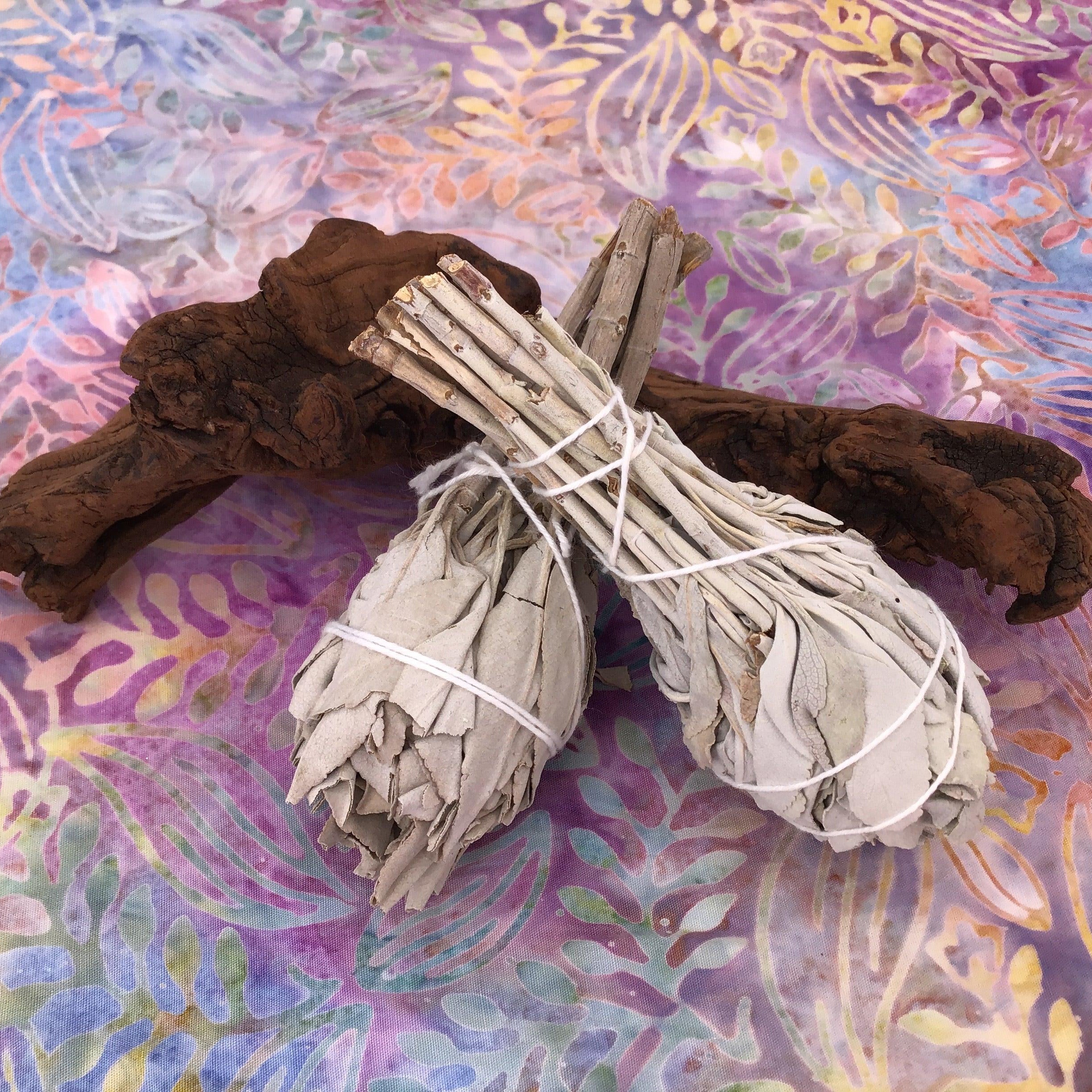 White Sage Torch Smudge Stick - Practical Magic Store