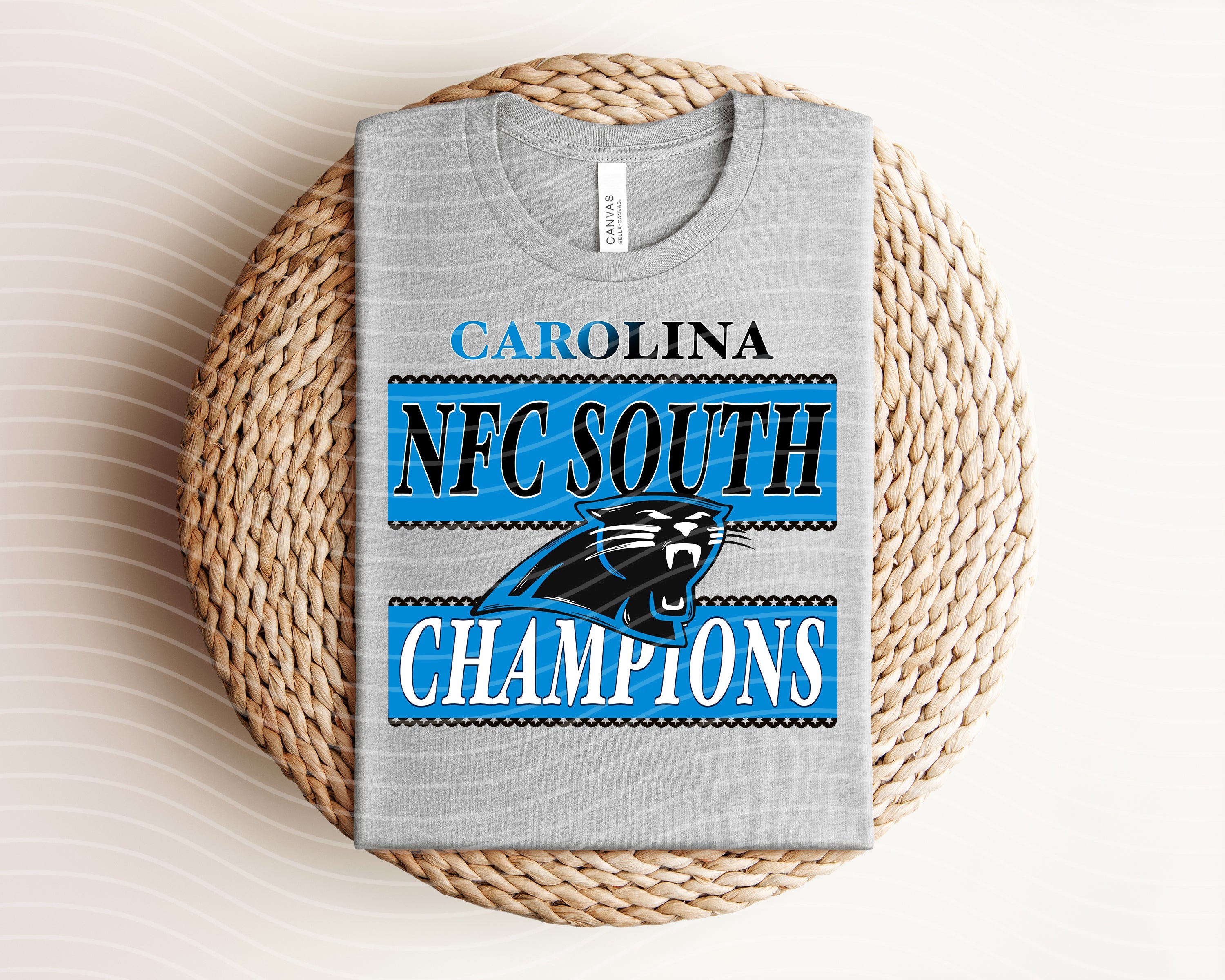 NFC South Champions Panthers graphic tee in black with team logo and text, casual men's cotton t-shirt by Anchored Grace Boutique