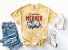 Black graphic tee from Anchored Grace Boutique with bold "I Could Be Meaner" text, casual fit, and modern style.