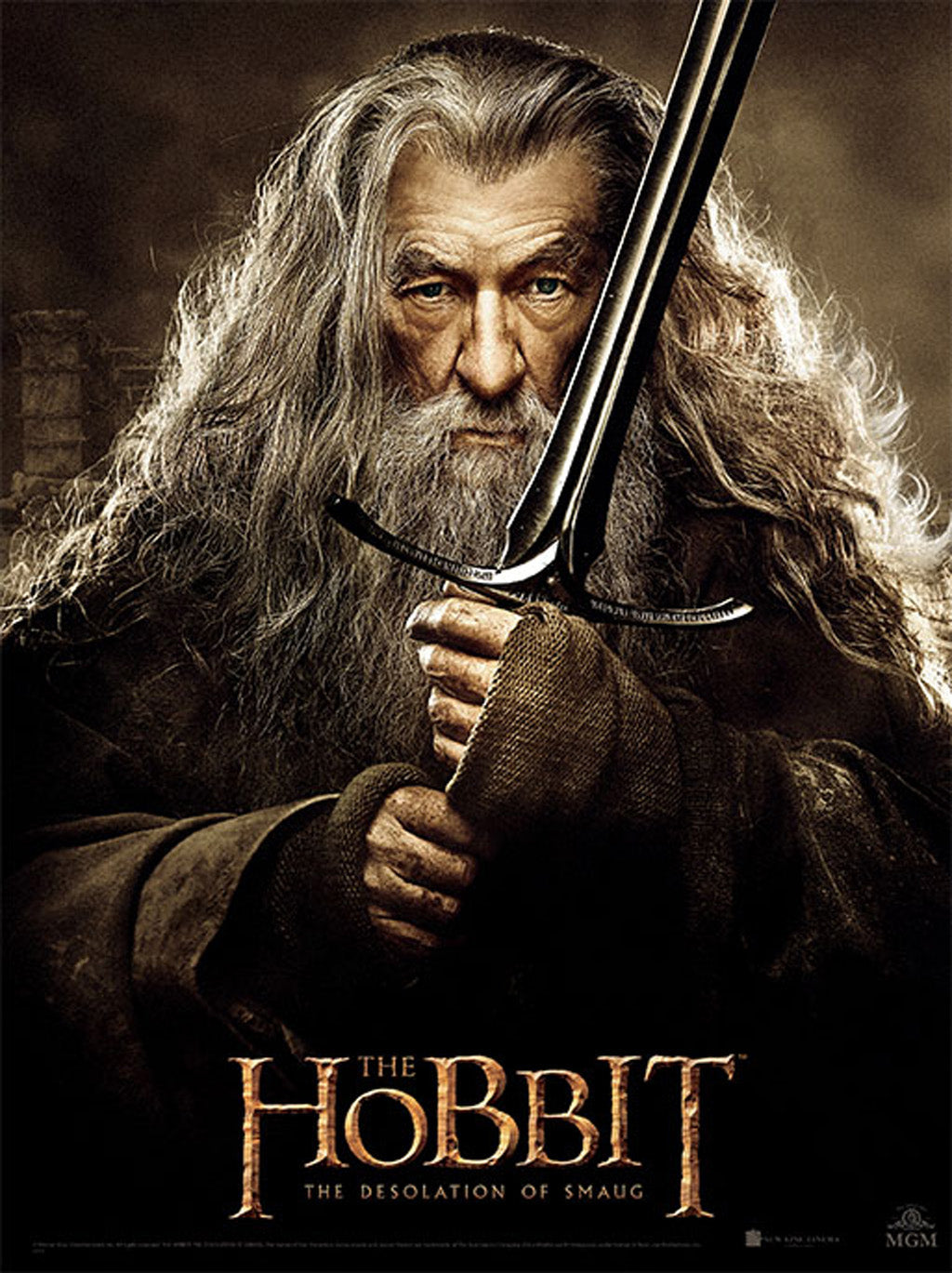 Inside view of The Hobbit softcover book by Insight Editions, showcasing illustrated pages and detailed text.
