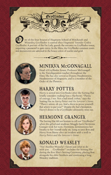 Inside view of a Harry Potter Gryffindor ruled notebook with softcover, featuring themed pages and Insight Editions branding.