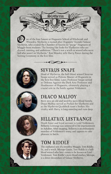 Inside view of the Harry Potter Slytherin ruled softcover notebook by Insight Editions, featuring lined pages and Slytherin branding.