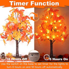 CozyNest Decor 2-pack 24-inch prelit fall maple trees with LED lights, battery-operated autumn decor for home and Thanksgiving.