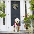 Rustic wooden seasonal welcome sign wreath by CozyNest Decor featuring a round design with dog motifs for spring, summer, fall, and holiday decor