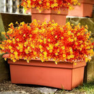CozyNest Decor artificial fall flowers in orange, realistic faux autumn plants for indoor or outdoor Thanksgiving and wedding decor.