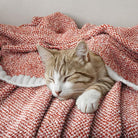CozyNest Decor MIULEE Fall Rust super soft knit throw blanket for couch or bed, warm, fluffy, 50x60 inches, perfect for living room or camping.