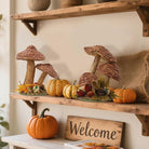 CozyNest Decor Winemana 2-pack handmade woven mushroom figurines for autumn decor, farmhouse table centerpieces, shelf and kitchen accents.
