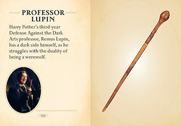 Inside view of Harry Potter: The Mini Book of Wands hardcover, featuring detailed illustrations and wand descriptions by Insight Editions.
