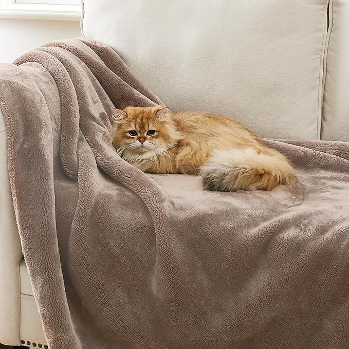 CozyNest Decor white plush throw blanket with fleece texture, 50x70 inches, lightweight, soft, hypoallergenic, ideal for couch or bed decor