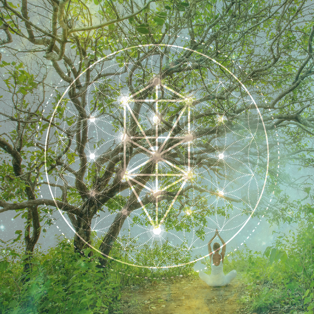 Practical Magic – Practical Magic Store