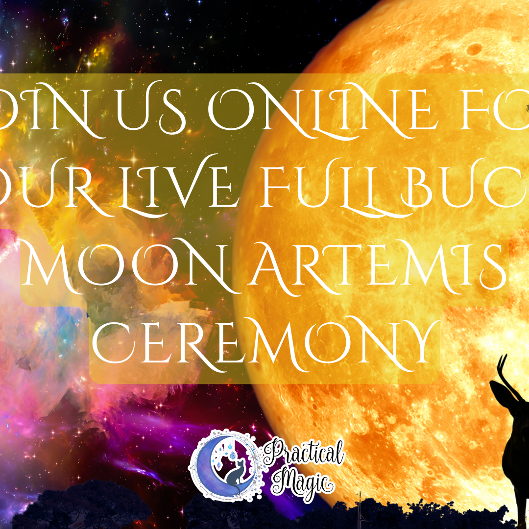 Practical Magic – Practical Magic Store