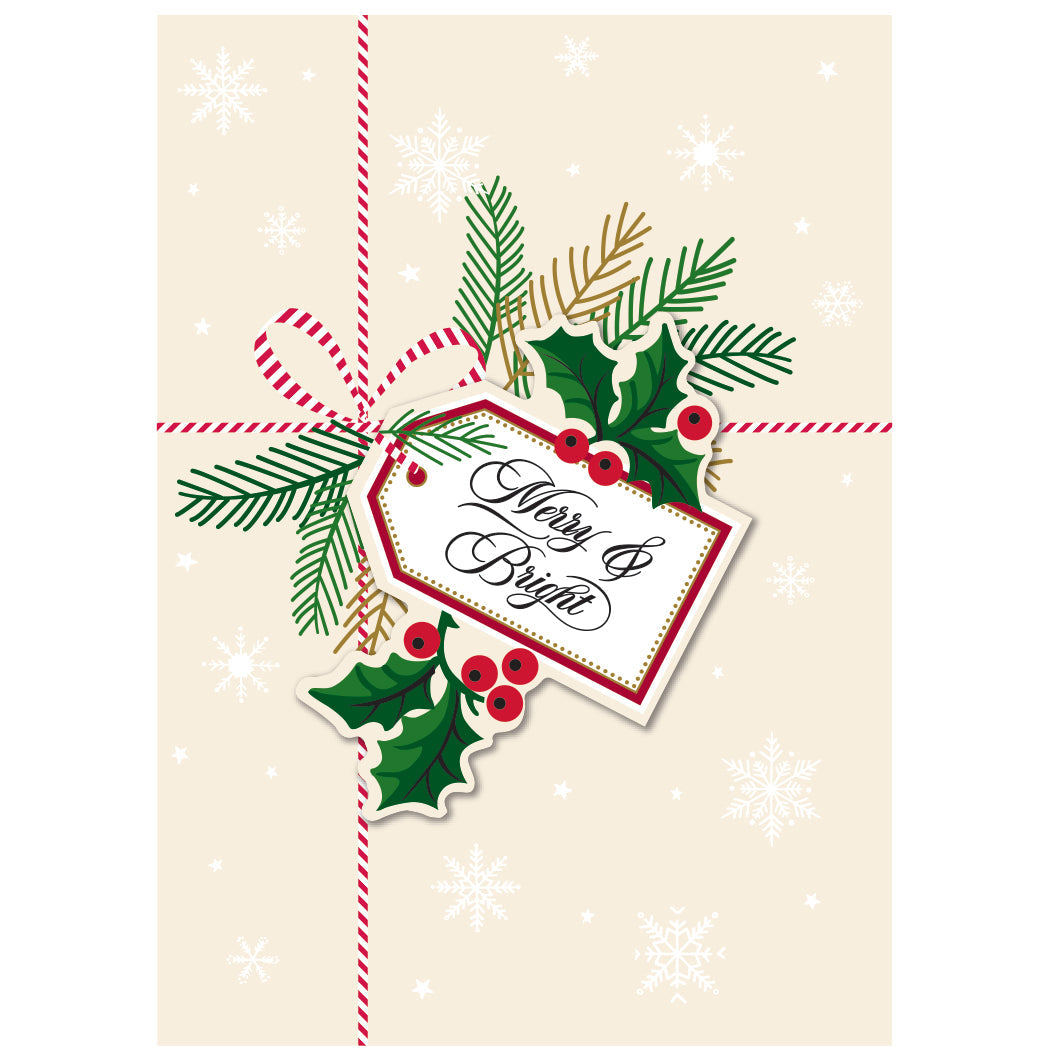 Snowflake-themed boxed greeting cards by Anna Griffin Inc., 10-pack, featuring elegant snowflake designs on high-quality paper.